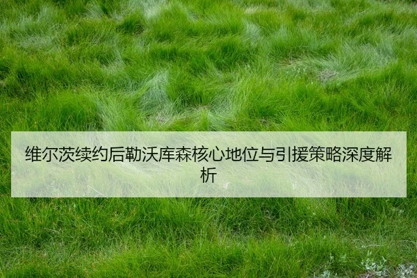 wei-er-ci-xu-yue-hou-lei-wo-ku-sen-he-xin-di-wei-yu-yin-yuan-ce-lve-shen-du-jie-xi-3-121.jpg
