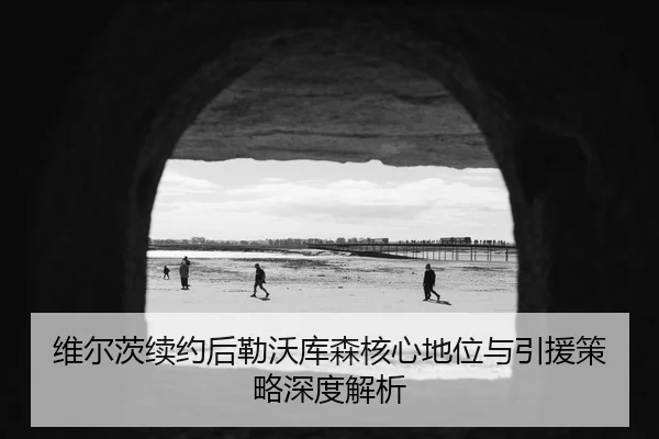 维尔茨续约后勒沃库森核心地位与引援策略深度解析