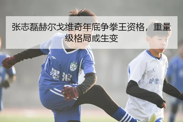 张志磊赫尔戈维奇年底争拳王资格，重量级格局或生变