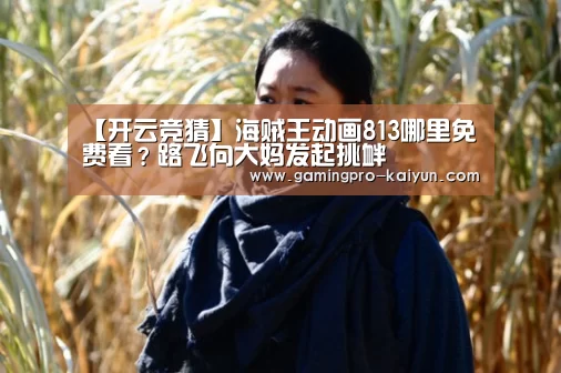 【开云竞猜】海贼王动画813哪里免费看?路飞向大妈发起挑衅(图2) 开云赛事