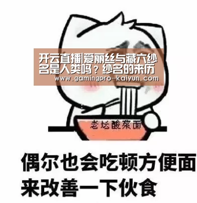 开云电竞