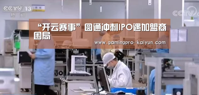 开云电竞